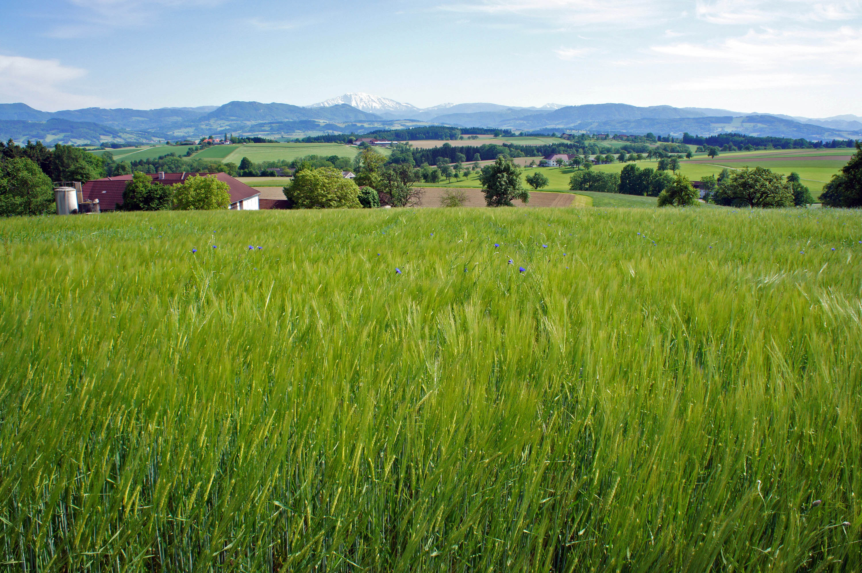 Von der Region, für die Region